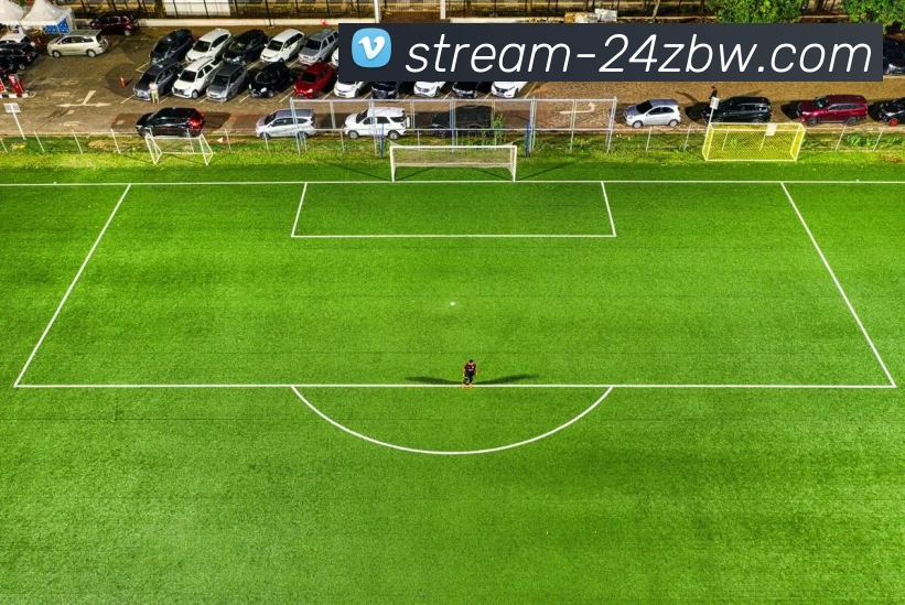 24直播网平台生态图